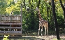 Bronx Zoo - Tierpark der Superlative | TV-Programm von TLC
