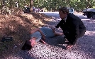 SOS - Retter im Einsatz | TV-Programm von RTLZWEI