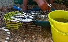 Malawi: Leben am großen See | TV-Programm von arte