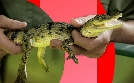 nano | TV-Programm von 3sat
