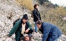 Tatort | TV-Programm von SWR