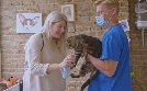 Australiens Tierrettung - Einsatz am Bondi Beach | TV-Programm von sixx