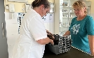 Die Tier-Docs! Pfotenhelden mit Herz | TV-Programm von SAT.1 Gold