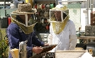 CSI: Den Tätern auf der Spur | TV-Programm von VOX