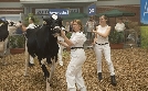 Gloria, die schönste Kuh meiner Schwester | TV-Programm von hr