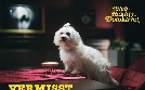 Club der Reality Detektive | TV-Programm von SAT.1