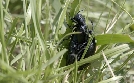 Naturerbe Österreich | TV-Programm von 3sat