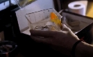 Spiders - Ihr Biss ist der Tod | TV-Programm von ZDF
