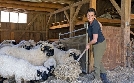 Land und lecker | TV-Programm von SWR