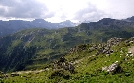 Almen in Österreich - Vom Leben mit der Natur | TV-Programm von 3sat
