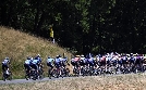 Radsport: Eneco-Tour | TV-Programm von Eurosport
