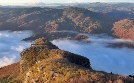 Abenteuer Wildnis | TV-Programm von BR