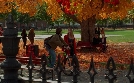 Hocus Pocus | TV-Programm von Disney Channel