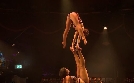So schmeckt die Welt - Teatro Dinnershow München | TV-Programm von ANIXE HD