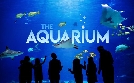 Das Atlanta-Aquarium | TV-Programm von TLC