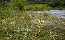 Medical Detectives - Geheimnisse der Gerichtsmedizin | TV-Programm von VOX