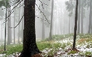 Waldviertel - Vom Zauber des rauen Landes | TV-Programm von 3sat