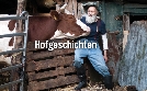 Hofgeschichten | TV-Programm von NDR