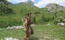 Die Alpen - Eine große Geschichte | TV-Programm von 3sat