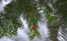 Abenteuer Wildnis | TV-Programm von BR