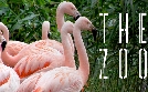 Bronx Zoo - Tierpark der Superlative | TV-Programm von TLC