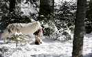 Winter im Wildpark Mautern | TV-Programm von 3sat