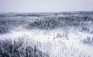 Abenteuer Lappland | TV-Programm von 3sat