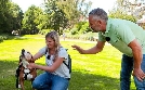 Hunde verstehen! | TV-Programm von WDR