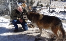 Tierarzt Dr. Jeff - Der Rocky Mountain Doc | TV-Programm von TLC