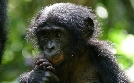 natur exclusiv | TV-Programm von BR