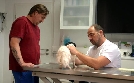 Die Tierärzte - Retter mit Herz | TV-Programm von Das Erste