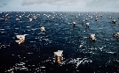 Mythos Nordsee | TV-Programm von 3sat