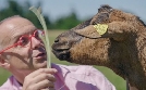Tierisch schlau! | TV-Programm von arte