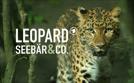 Leopard, Seebär & Co. | TV-Programm von NDR