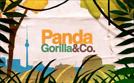 Panda, Gorilla & Co. | TV-Programm von SWR