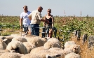 Sylt - Deutschlands edles Nordlicht | TV-Programm von 3sat