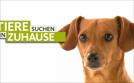 Tiere suchen ein Zuhause | TV-Programm von WDR