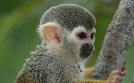 natur exclusiv | TV-Programm von BR