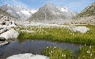 Unsere wilde Schweiz | TV-Programm von 3sat