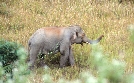 Laos Wunderland | TV-Programm von 3sat