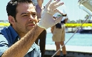 CSI: Miami | TV-Programm von VOX