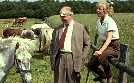 Frühling auf Immenhof | TV-Programm von WDR