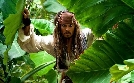 Pirates Of The Caribbean - Fremde Gezeiten  | Do 24.10. 20:15 Disney Channel