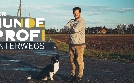 Der Hundeprofi unterwegs | TV-Programm von VOX
