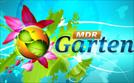 MDR Garten | TV-Programm von mdr