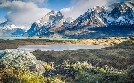 Pumas. In der Wildnis Patagoniens | TV-Programm von phoenix
