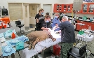 Bronx Zoo - Tierpark der Superlative | TV-Programm von TLC