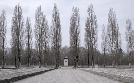 KL Dachau | TV-Programm von ARD alpha HD