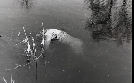 Mysteriöse Kriminalfälle der DDR | TV-Programm von zdfinfo