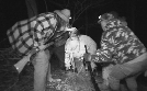 Die Monster-Jäger - Bestien auf der Spur | TV-Programm von DMAX